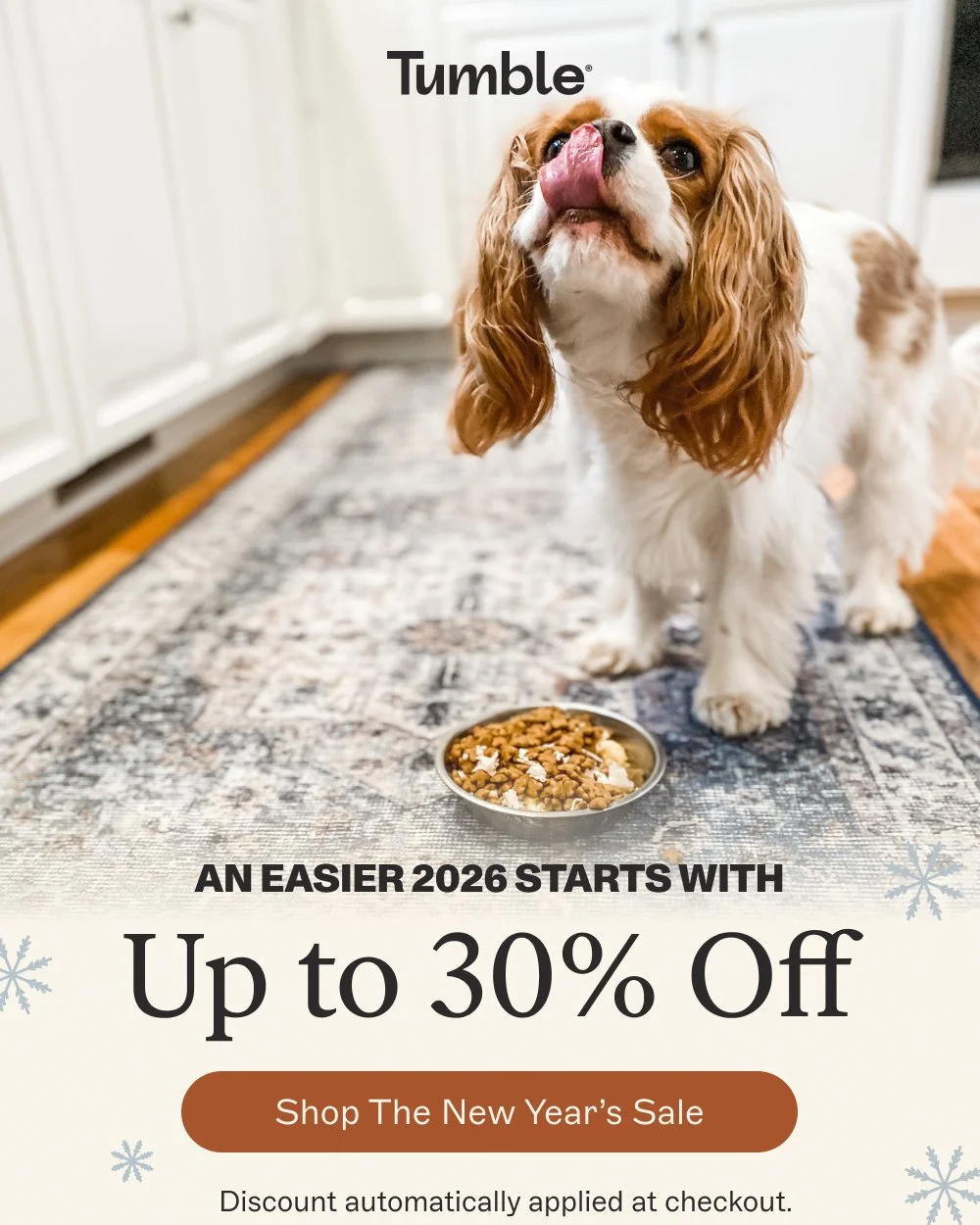 AN EASIER 2026 STARTS WITH Up to 30% Off [Shop The New Year's sale]