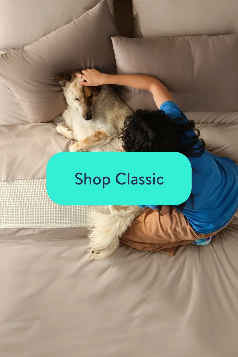 Shop Classic