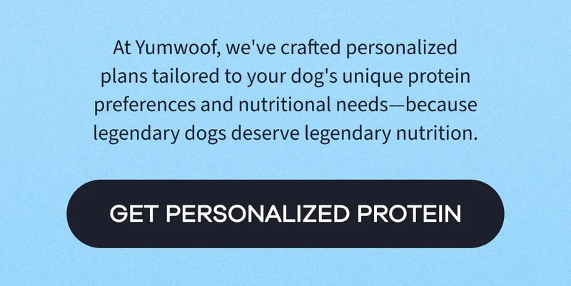 At Yumwoof, we've crafted personalized plans tailored to your dog's unique protein preferences and nutritional needs—because legendary dogs deserve legendary nutrition. | GET PERSONALIZED PROTEIN
