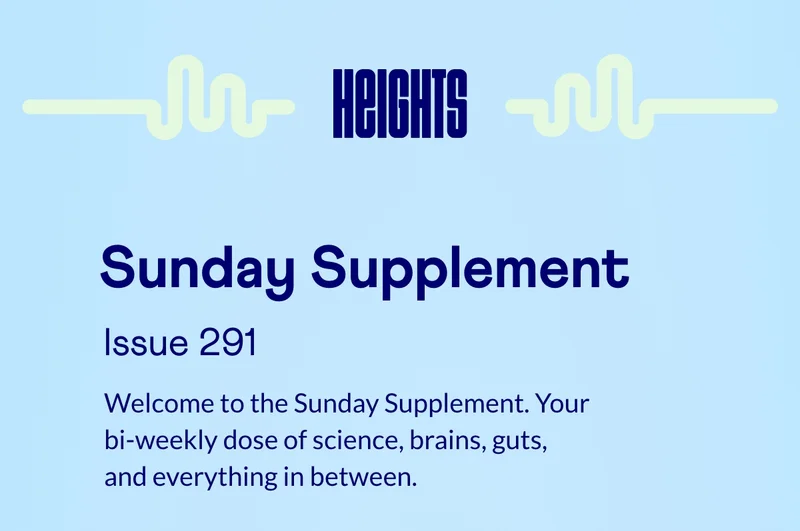 Sunday Supplement 291