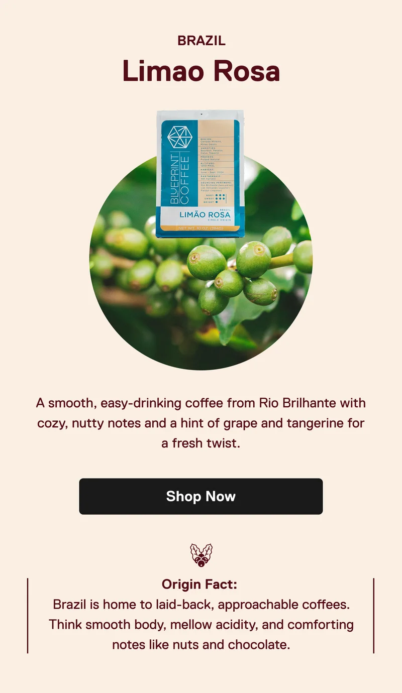 Limao Rosa from Brazil