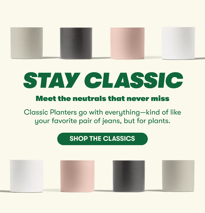 STAY CLASSIC Meet the neutrals that never miss Classic Planters go with everything—kind of like your favorite pair of jeans, but for plants.  [SHOP THE CLASSICS]