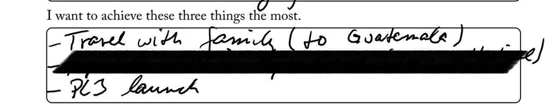 Screenshot of Jan's YearCompass saying: I want to achieve these three things the most: 1. Travel with family to Guatemala, 2. is blacked out, 3rd, PL3 launch
