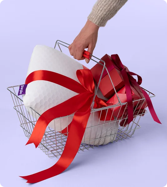 Holiday Gift Guide