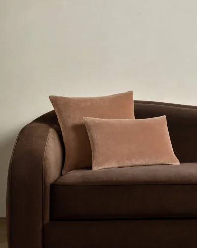 Shop Charlotte Velvet Pillow