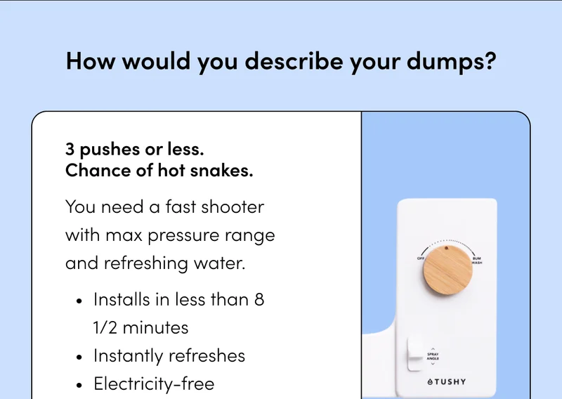 HOW WOULD YOU DESCRIBE YOUR DUMPS