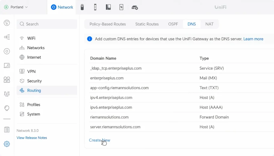Precision DNS Control
