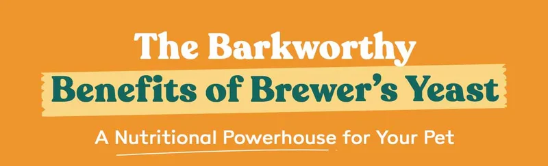 The Barkworthy Benefits of Brewer’s Yeast