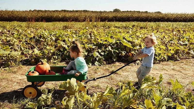 Image description: Toddler pulling sister and pumpkins in a wagon at pumpkin patch.