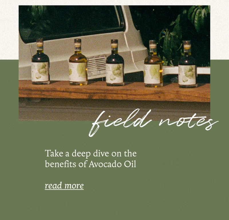 More about avocado oil
