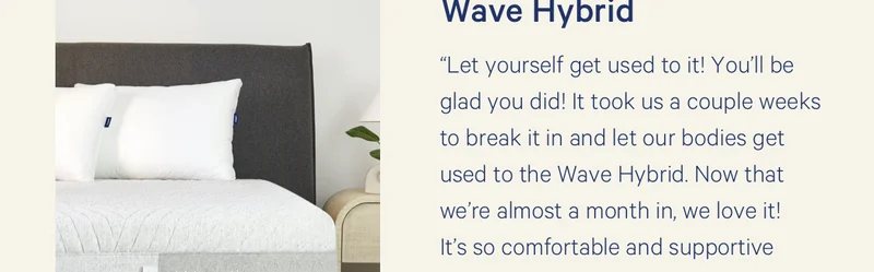 Wave Hybrid review