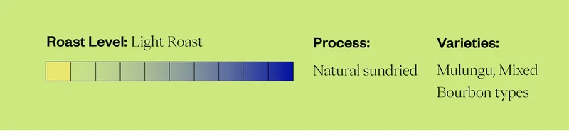 Roast Level: Light Roast Process: Natural sundried Varieties: Mulunglu, Mixed Bourbon types