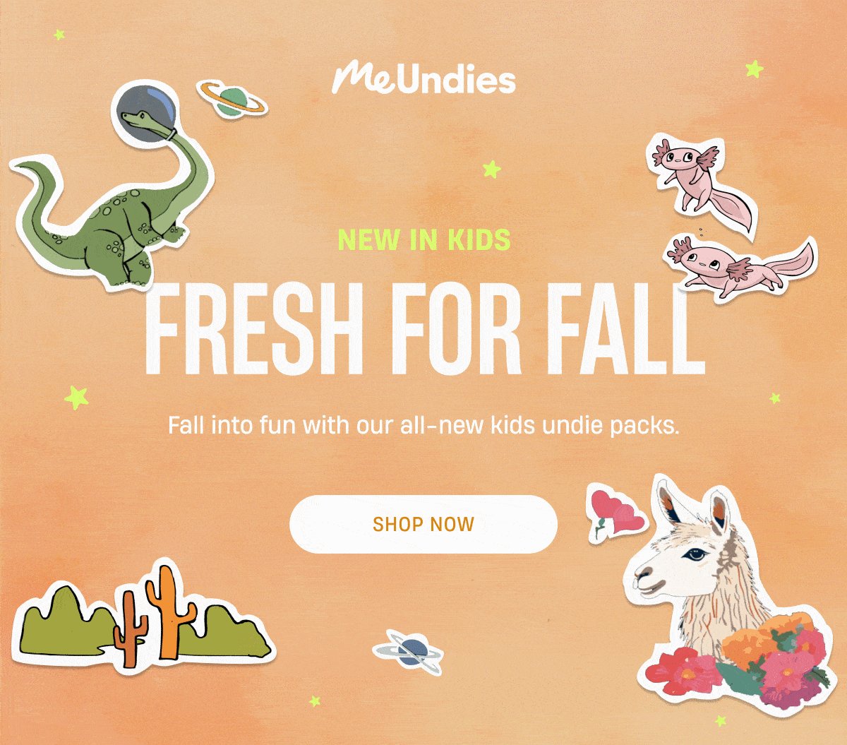 MeUndies | New In Kids | Fresh For Fall | All new kids undie packs | Shop Now