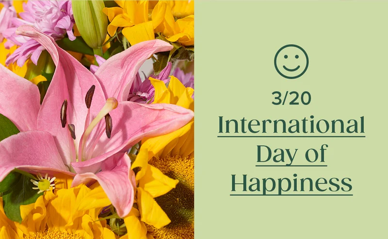 Shop International Day of Happiness (3/20)