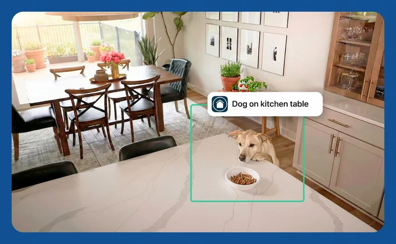 Simulated point of view image depicting a dog jumping onto the kitchen table. A green box highlights the dog to indicate an event with a simulated event caption that says: Dog on kitchen table.