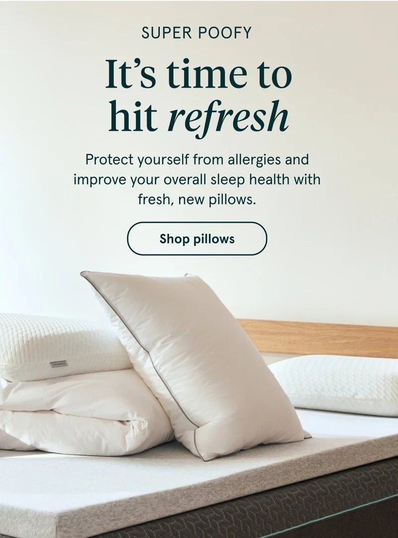 Shop pillows