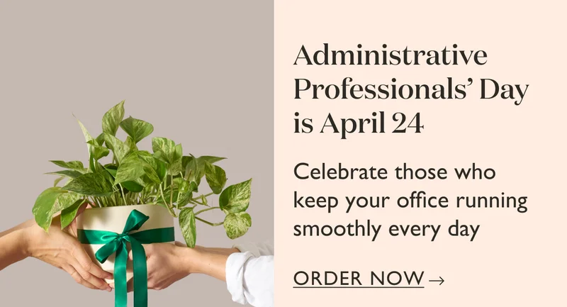 April 24th is Administrative Professionals' Day. Celebrate those who keep your office running smoothly every day with plants. Order now.