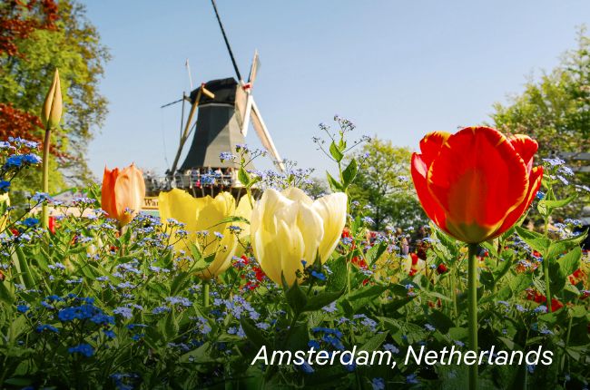 Click to View Cruises & Book Now (Pictured: Amsterdam, Netherlands)
