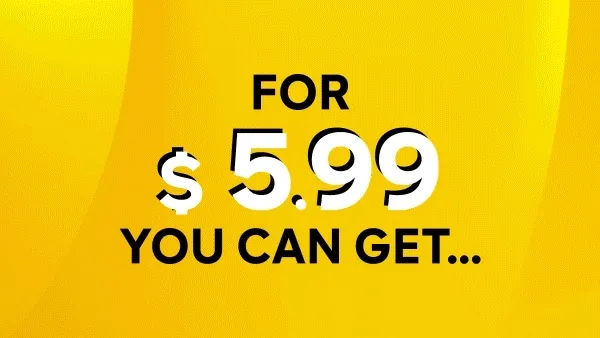 For $5.99 You can get...