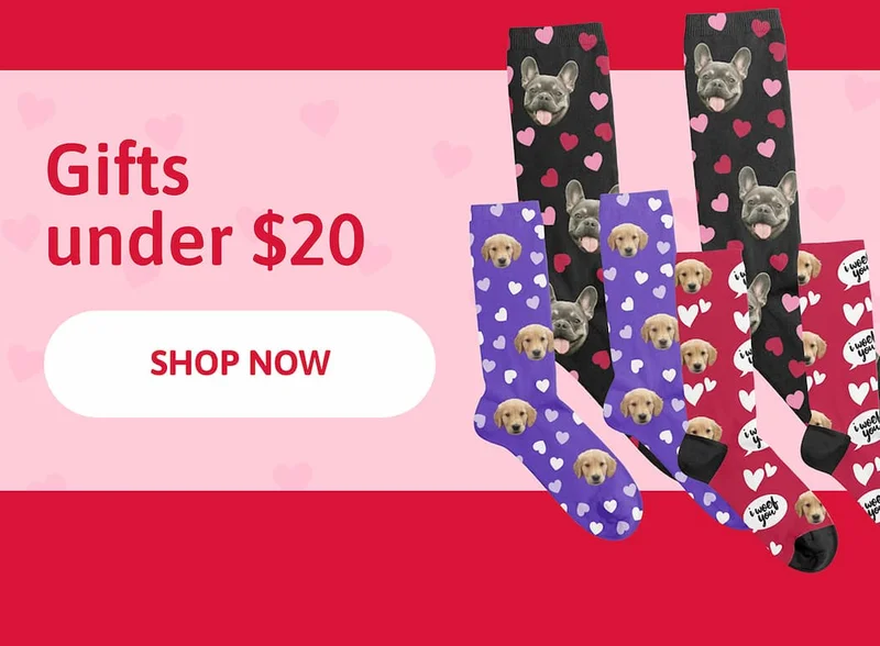 Gifts under $20