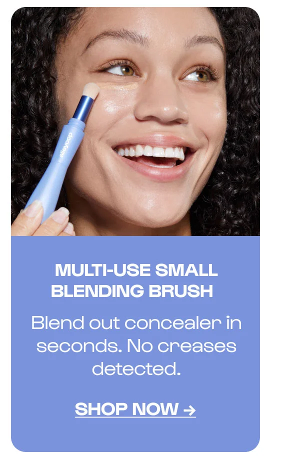 Multi-Use Small Blending Brush