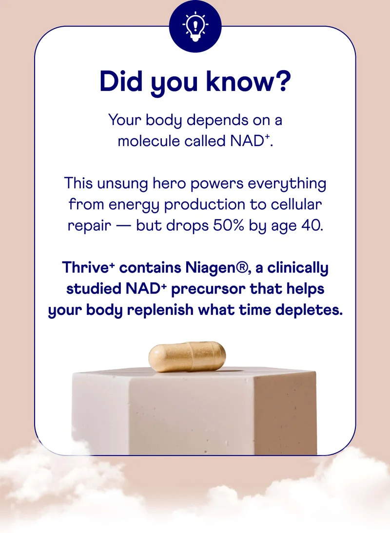 Did you know?