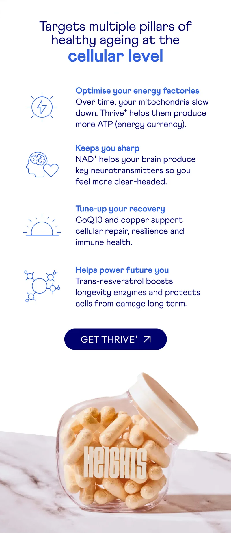 Targets multiple pillars of healthy ageing at the cellular level