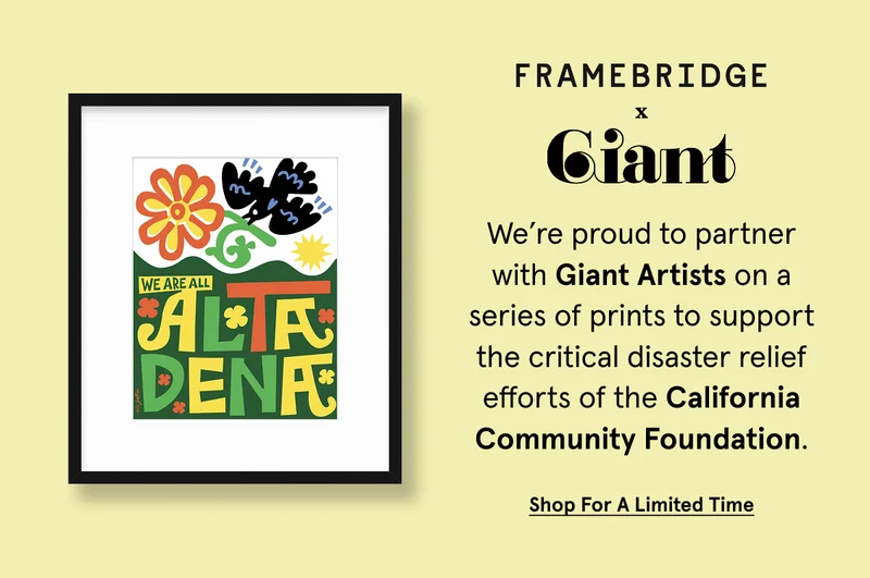 Framebridge x Giant
