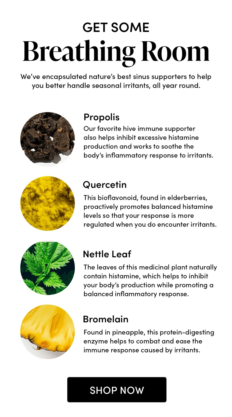 Get Some Breathing Room We’ve encapsulated nature’s best sinus supporters to help you better handle seasonal irritants, all year round.              Propolis       Our favorite hive immune supporter also helps inhibit excessive histamine production and works to soothe the body’s inflammatory response to irritants.   Quercetin          This bioflavonoid, found in elderberries, proactively promotes balanced histamine levels so that your response is more regulated when you do encounter irritants.    Nettle Leaf         The leaves of this medicinal plant naturally contain histamine, which helps to inhibit your body’s production while promoting a balanced inflammatory response.     Bromelain     Found in pineapple, this protein-digesting enzyme helps to combat and ease the immune response caused by irritants.