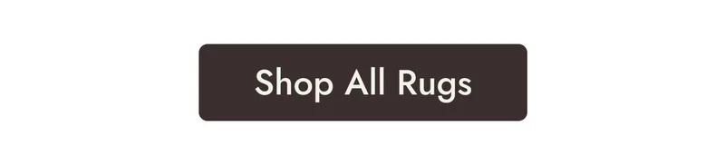 Shop All Rugs on Sale