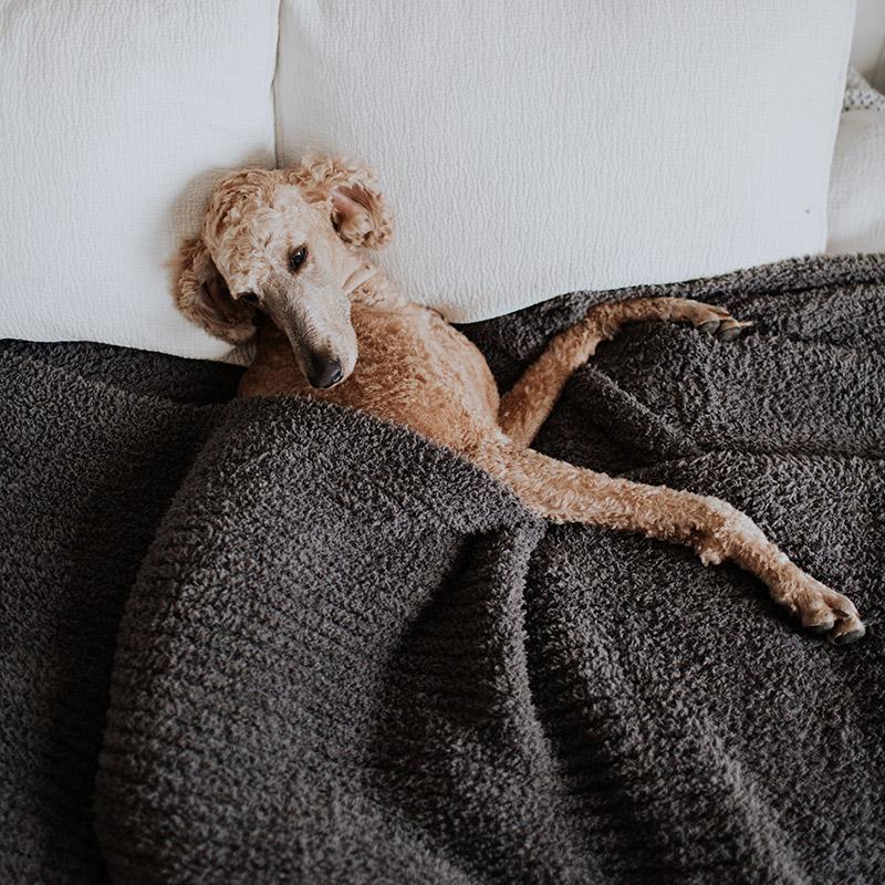 Image of Premier Plush™ Blanket