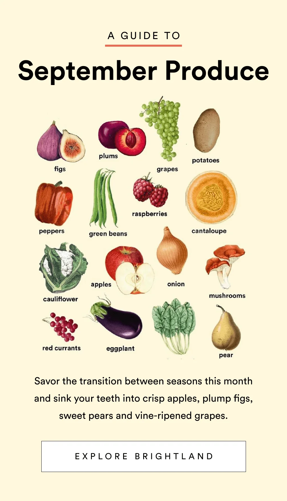 [ Explore Brightland ]