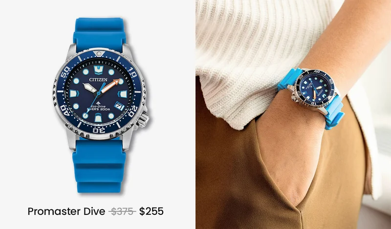 Promaster Dive WAS: $375  NOW: $255