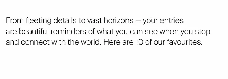 From fleeting details to vast horizons — your entries  are beautiful&nbsp;reminders of what you can see when you stop and connect with the world. Here are 10 of our favourites.