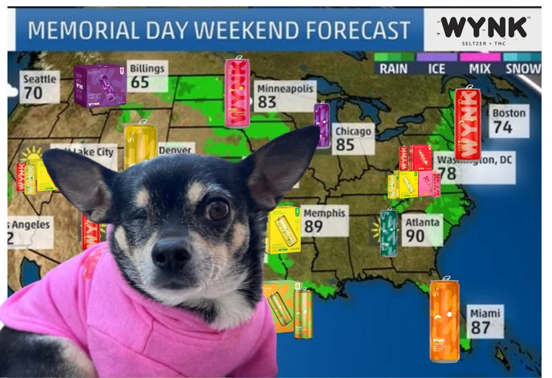 Photo of a chihuahua in front of a meteorologist map, with cans of Wynk and the Memorial Day weekend forecast.