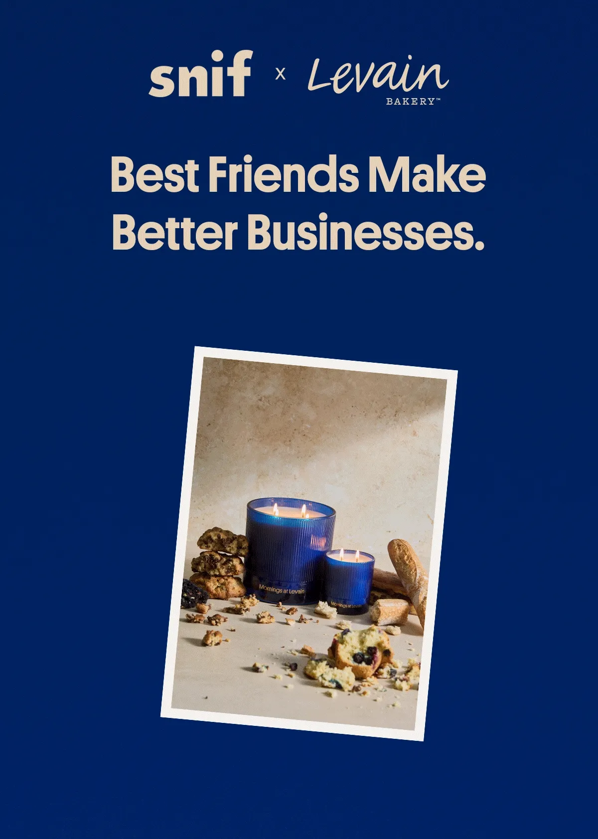 best friends make better businesses.