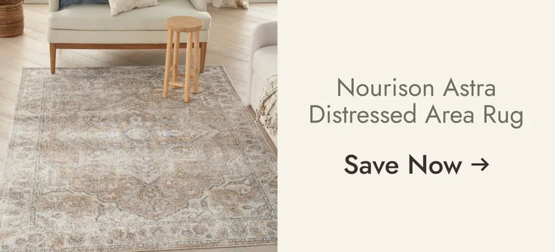 Nourison Astra Distressed Area Rug