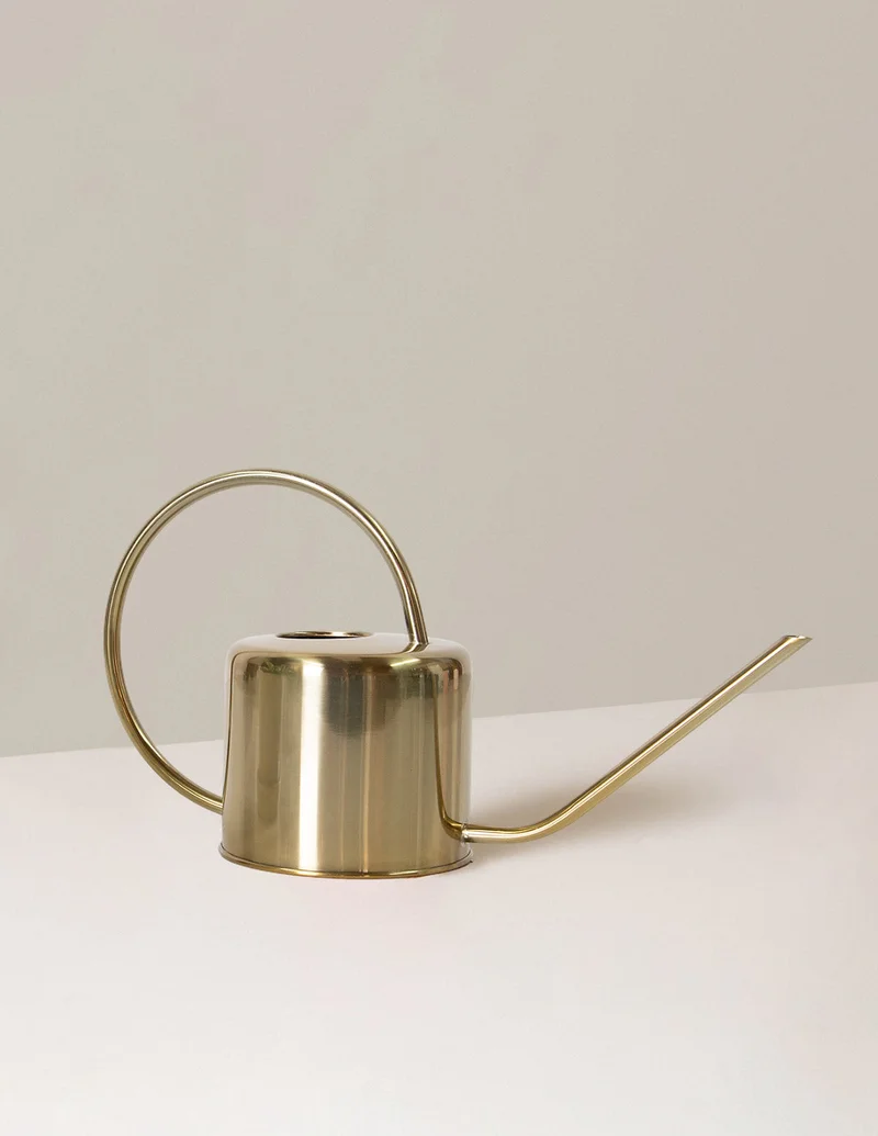 Image of Metal Watering Can