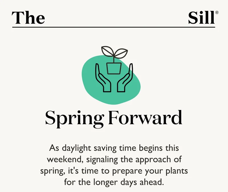 Spring Forward: As daylight saving time begins this weekend, signaling the approach of spring, it's time to prepare your plants for the longer days ahead.