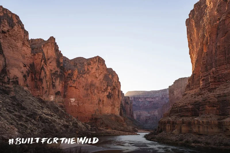 Built For The Wild