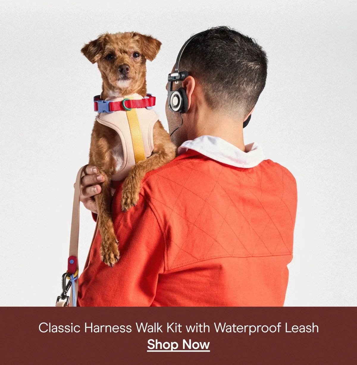 colorblock retro and bubblegum with dogs classic harness walk kit with waterproof leash