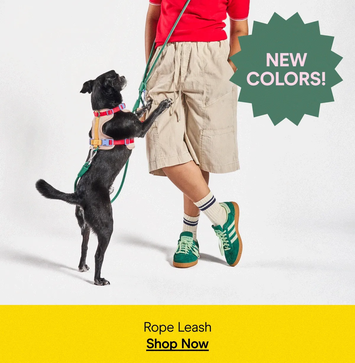 rope leash in bubblegum and retro