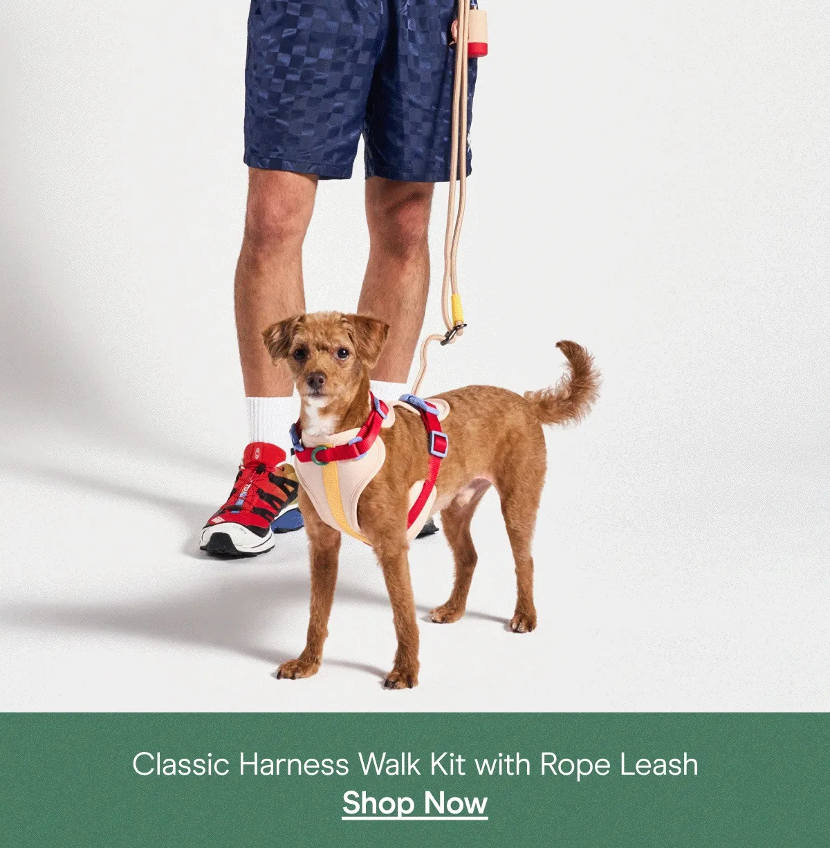 classic harness walk kit with rope leash in retro and bubblegum