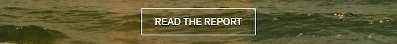 Read the Report