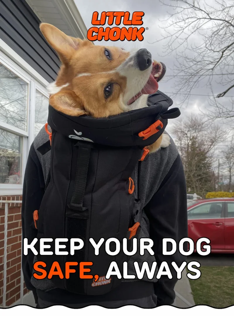 KEEP YOUR DOG SAFE, ALWAYS