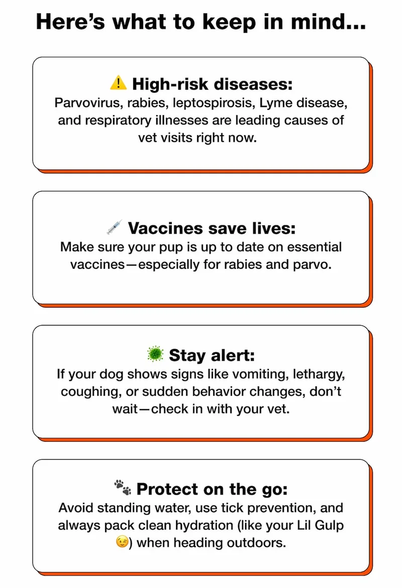 Here’s what to keep in mind...