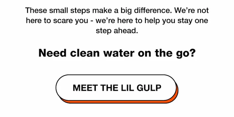 Meet The Lil Gulp