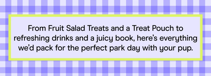 From Fruit Salad Treats and a Treat Pouch to refreshing drinks and a juicy book, here’s everything we’d pack for the perfect park day with your pup.