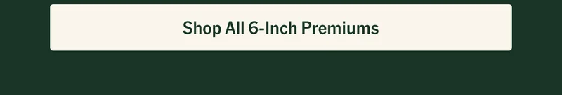Shop All 6-Inch Premiums