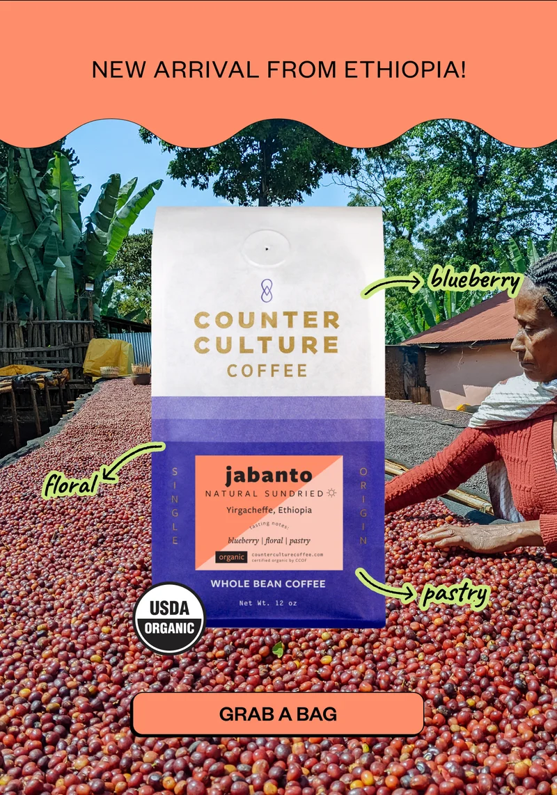 New arrival from Ethiopia! blueberry Floral pasty Grab a Bag
